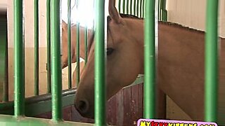 Un trio equestre di cartoni animati si impegna in una sessione di provino lesbico